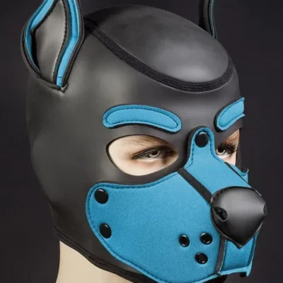 Aqua k9 Hood.webp