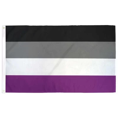AsexualFlagSquare.webp