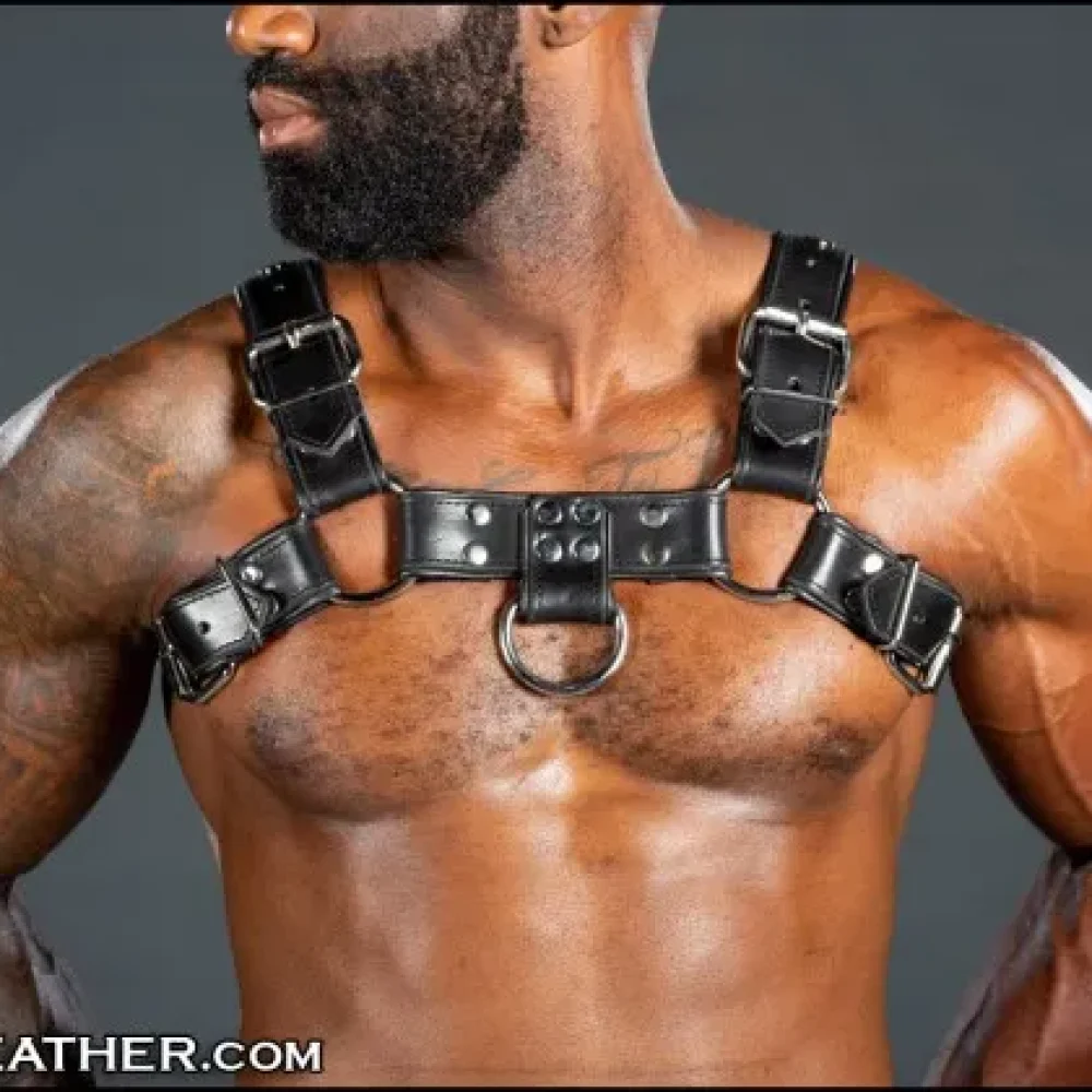 Bulldog Harness 2 0 black image 1.webp