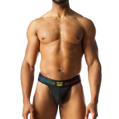Front Prism Pride Thong.jpg