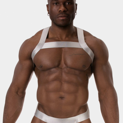 Harness Dono silver front.png