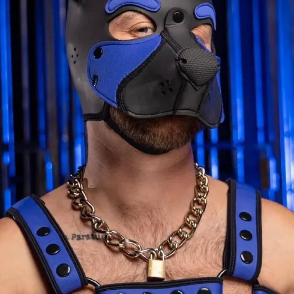 Heavy Chain n Lock Collar image 1.webp
