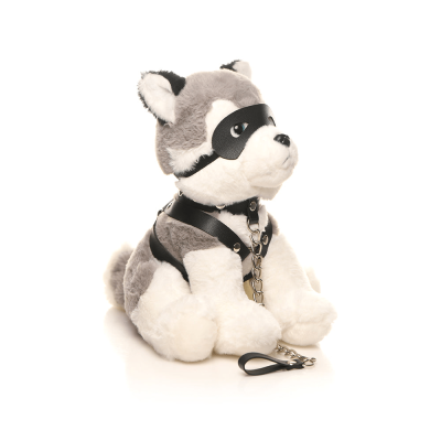 Master Series Max the Fetish Pup out of box.png