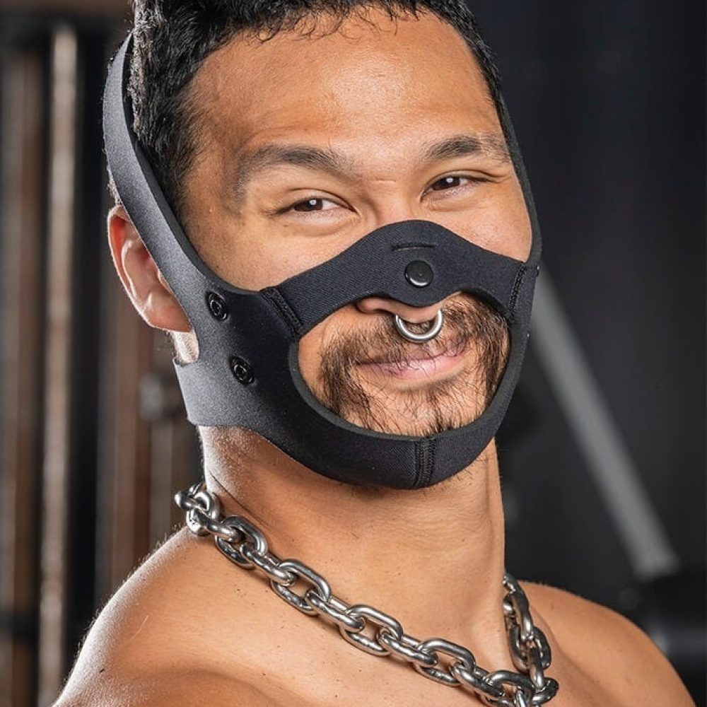 Neo Face Muzzle Head Harness front.jpg