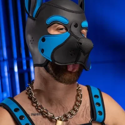 Neoprene Frisky Pup Hood Aqua.webp