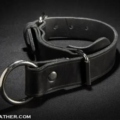 Quick Pull Choke Collar image 1.webp