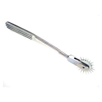 Rouge Stainless Steel Pinwheel Single image 1.webp