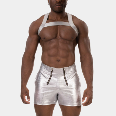 Short Aligo silver front.png