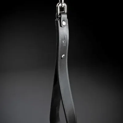 Short Leash image 1 3.webp