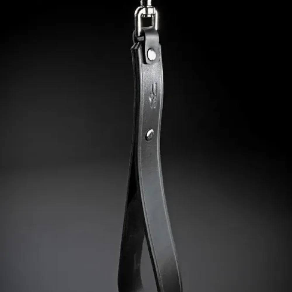 Short Leash image 1 3.webp
