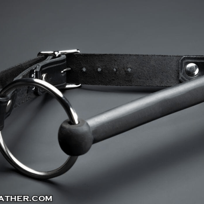 Training Bit Gag image 1.png