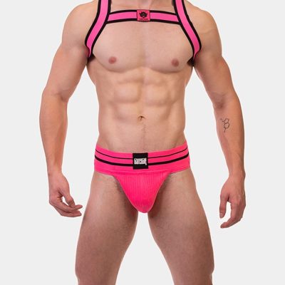 harness colin.jpg