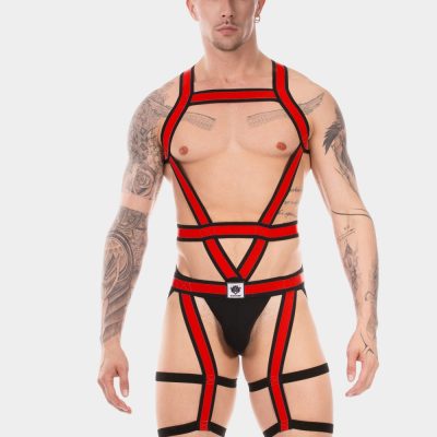 harness duo javedred.jpeg