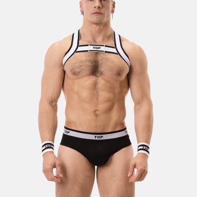 harness top front.jpg