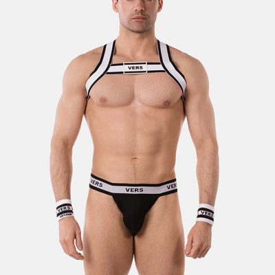 harness vers front.jpg