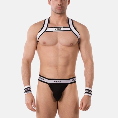 harness vers front.jpg
