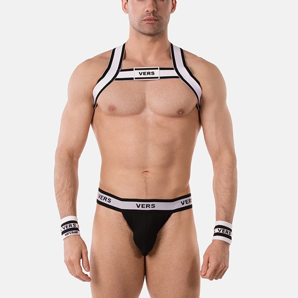 harness vers front.jpg