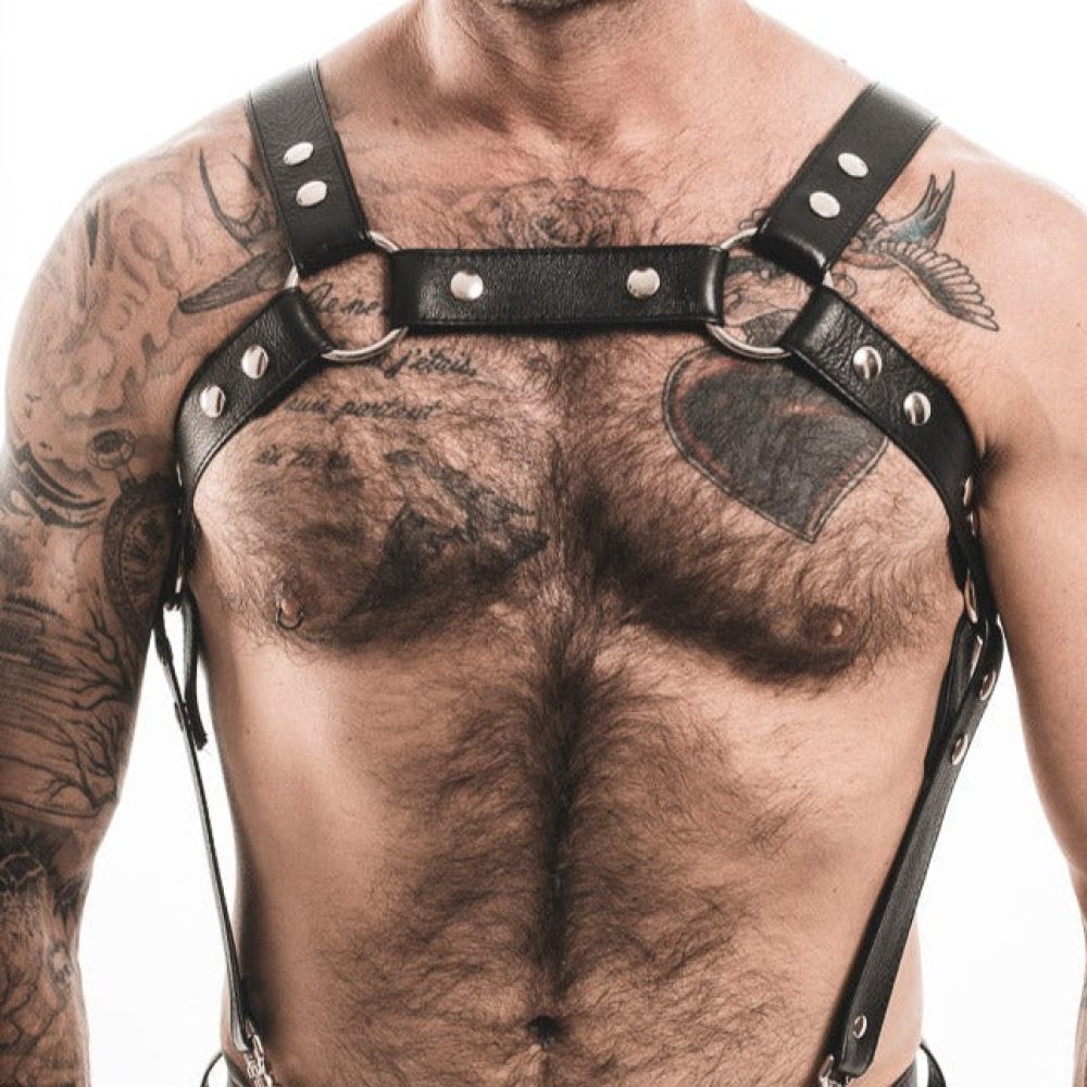 products newyorkcityharness 1.jpg