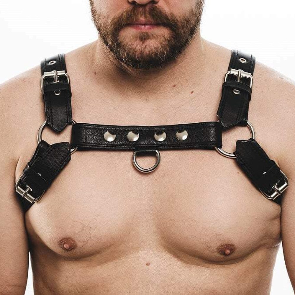 products pug 20harness 20 20black 201 fed50254 8406 46f2 8e80 0729c0901780.jpg