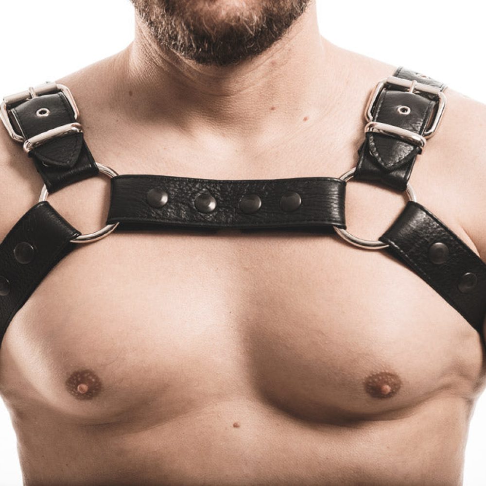 products toronto yyz harness 1.jpg