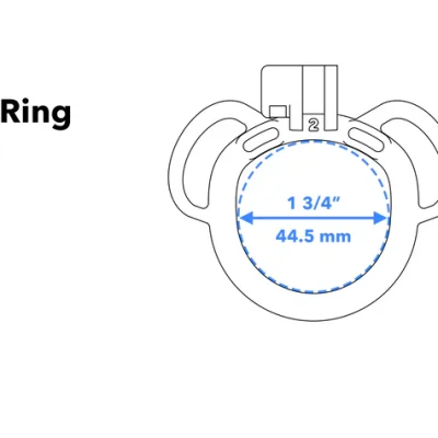 strap ring 2L schematic 2.webp