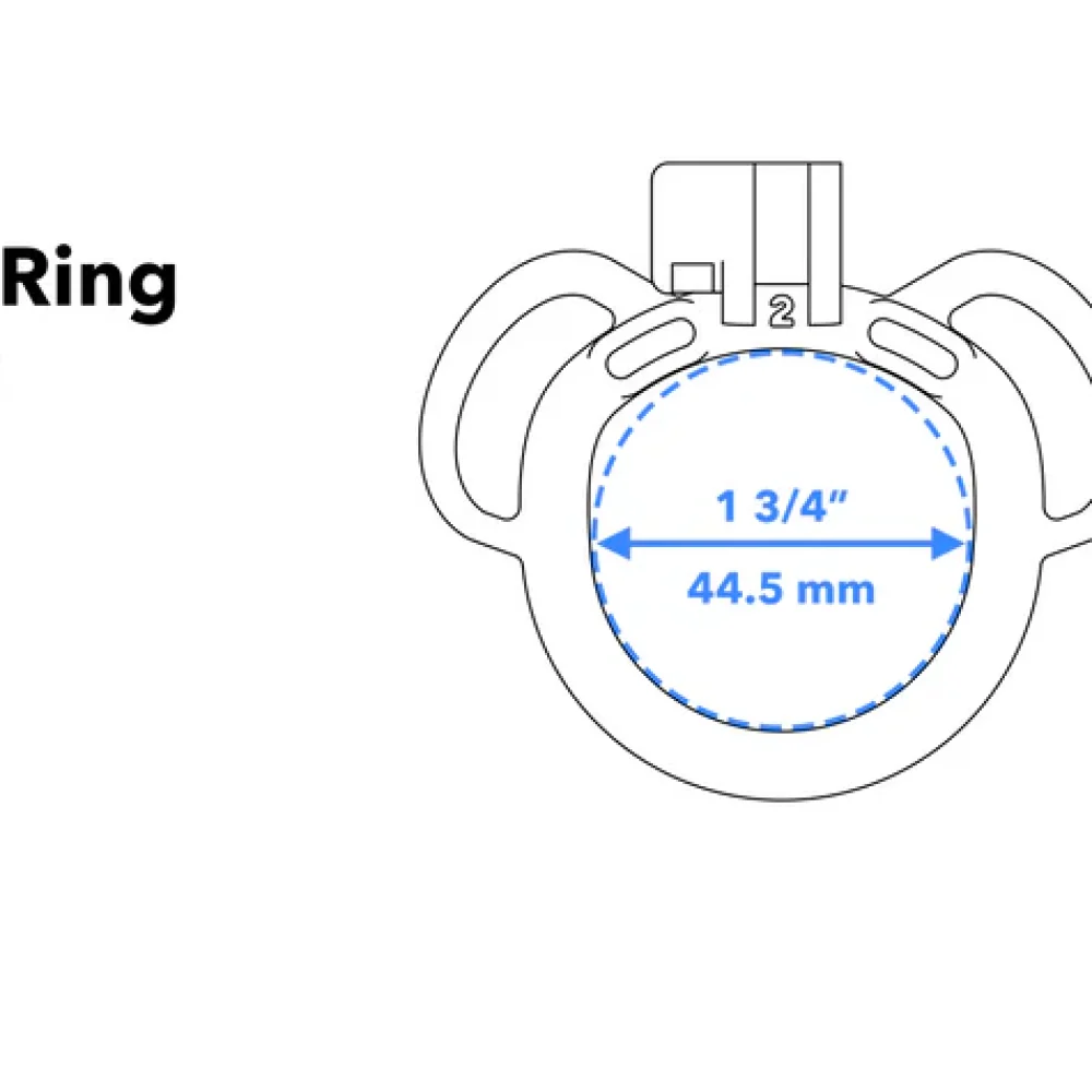 strap ring 2L schematic 2.webp